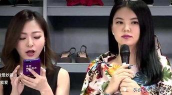 老板爆料李湘视频大全集,老板爆料背后的故事与真相