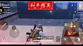 和平精英营地最新爆料,全新内容即将上线，敬请期待！